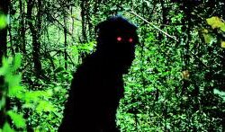 Uncle Boonmee Who Can Recall Past Lives Review